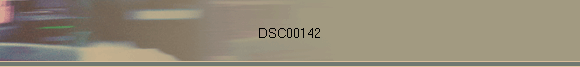 DSC00142