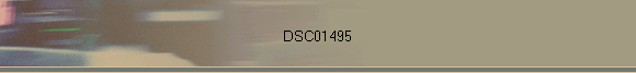 DSC01495
