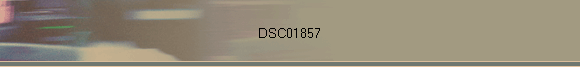 DSC01857