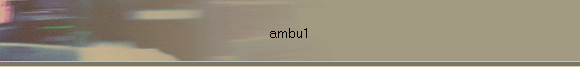 ambu1